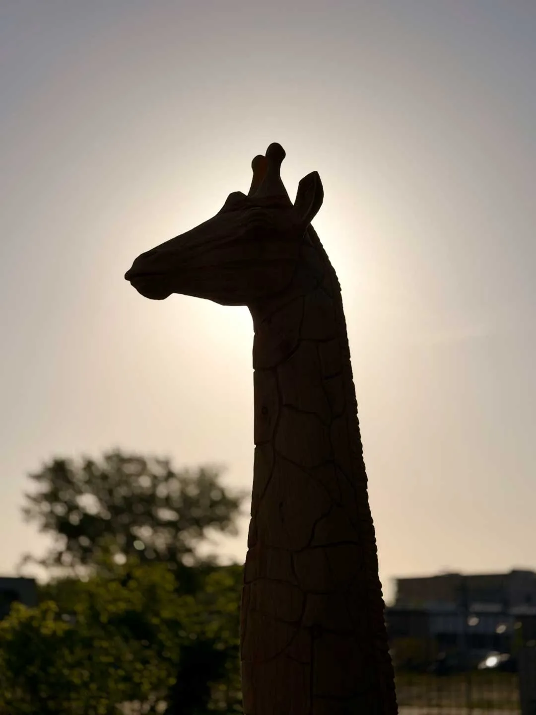 Giraffe bij Backlight voordeur